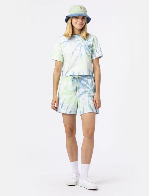 Hovedbilde Dickies Seatac Short W-Celadon Green