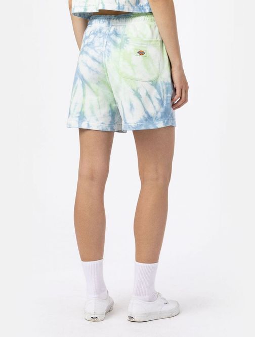 Hovedbilde Dickies Seatac Short W-Celadon Green