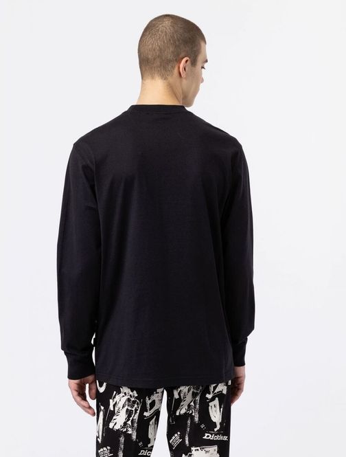 Hovedbilde Dickies Mount Vista Tee LS Black