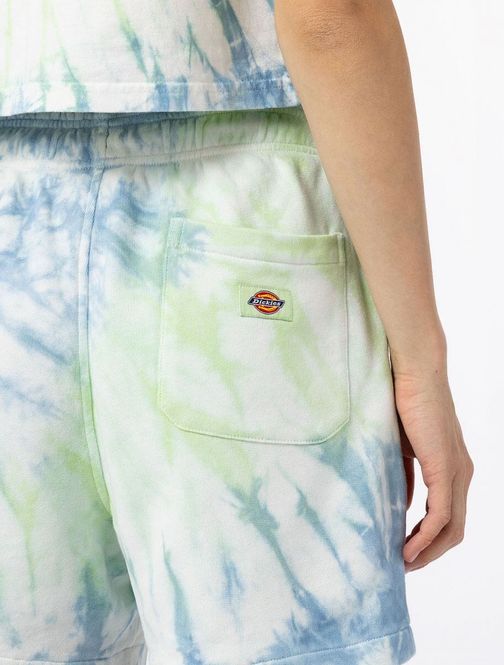 Hovedbilde Dickies Seatac Short W-Celadon Green