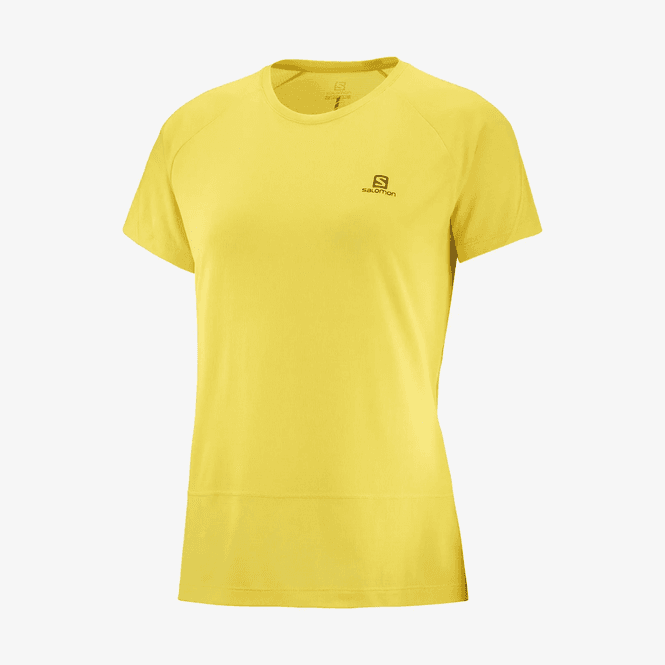 Hovedbilde Salomon Cross Run Ss Tee W Empire Yellow/Heather