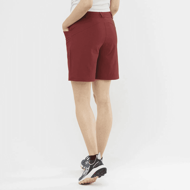 Hovedbilde Salomon Wayfarer Shorts W Cabernet